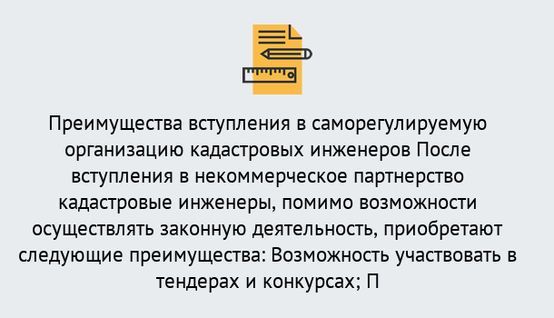 Почему нужно обратиться к нам? Рассказово Что дает допуск СРО кадастровых инженеров?