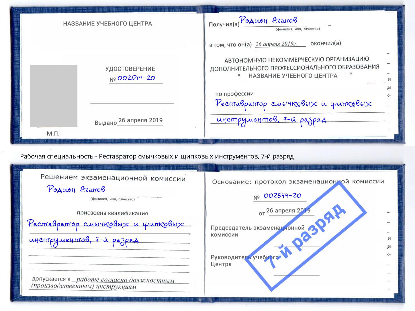 корочка 7-й разряд Реставратор смычковых и щипковых инструментов Рассказово