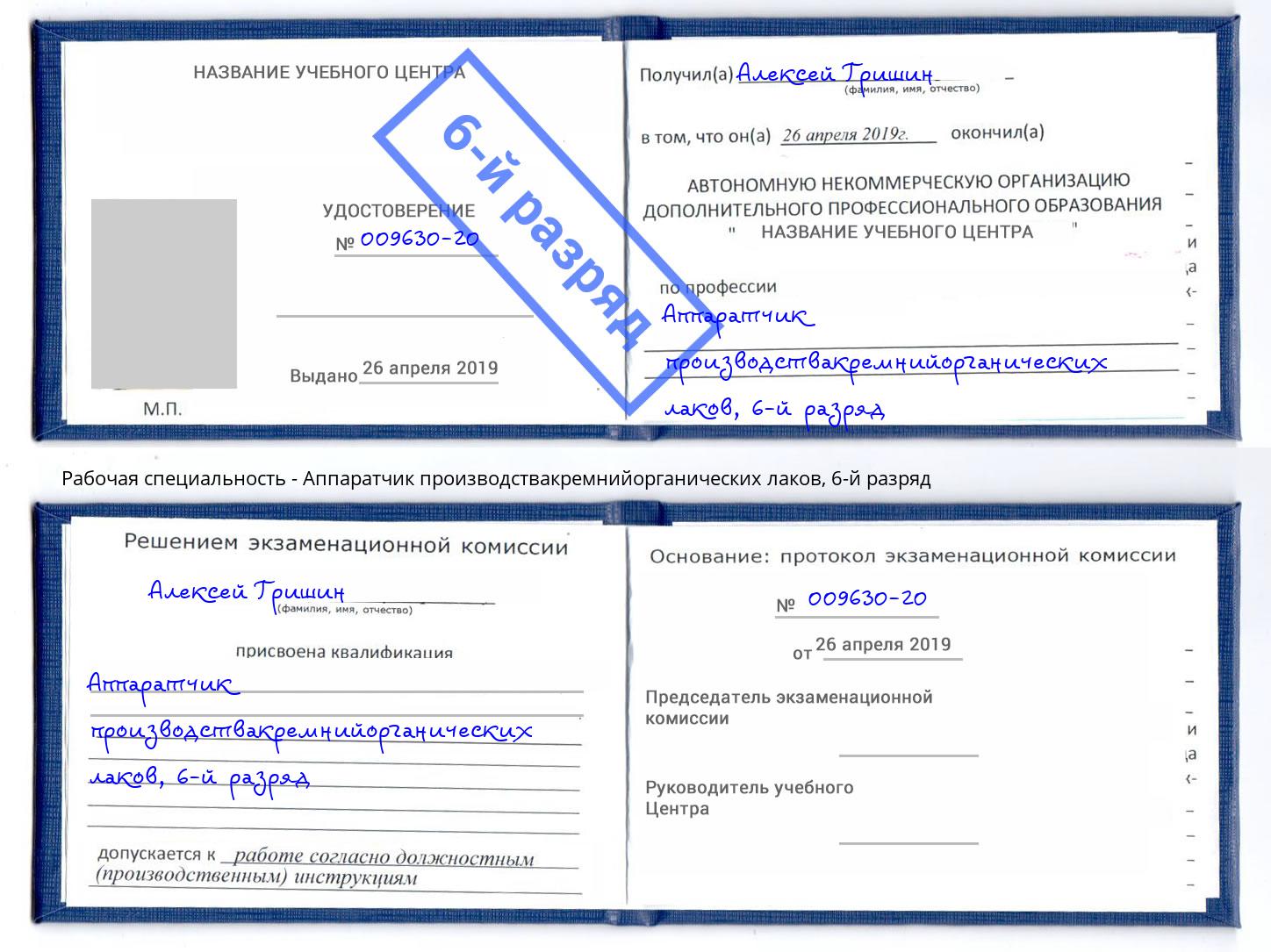 корочка 6-й разряд Аппаратчик производствакремнийорганических лаков Рассказово